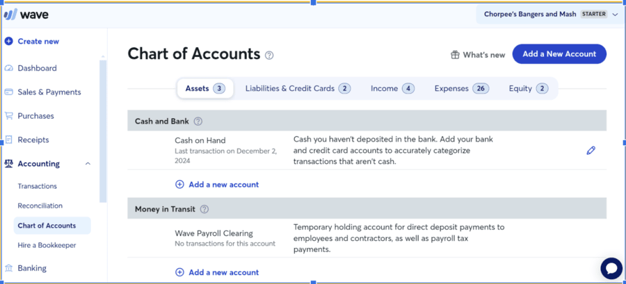 Wave software dashboard with accounting tools.